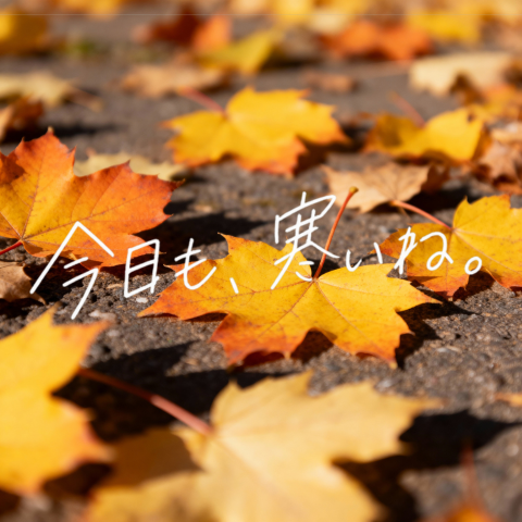 信息图 GPT Image 2 提示词：Autumn Leaves with Handwritten Japanese Text