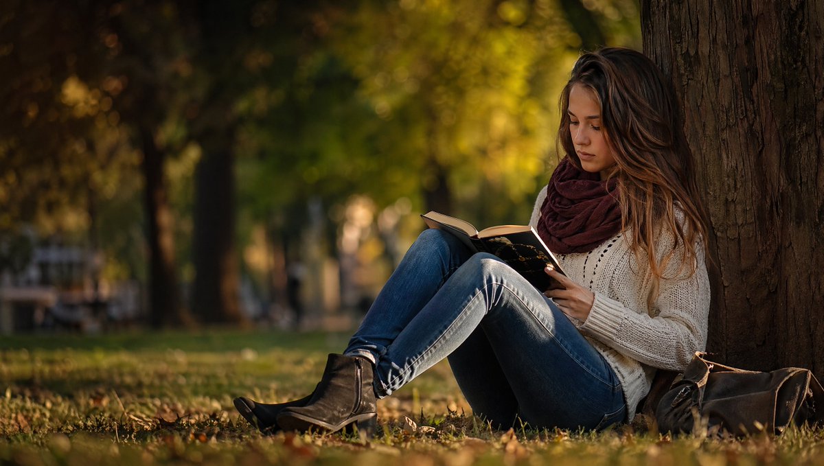 界面稿 GPT Image 2 提示词：Autumn Park Reading Stock Photo