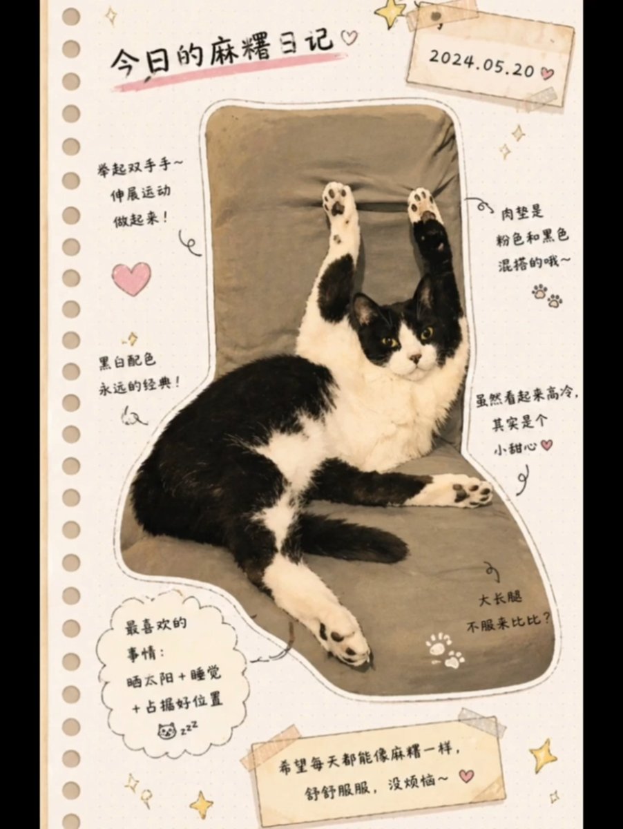 创意灵感 GPT Image 2 提示词：Japanese Journal Style Cat Diary