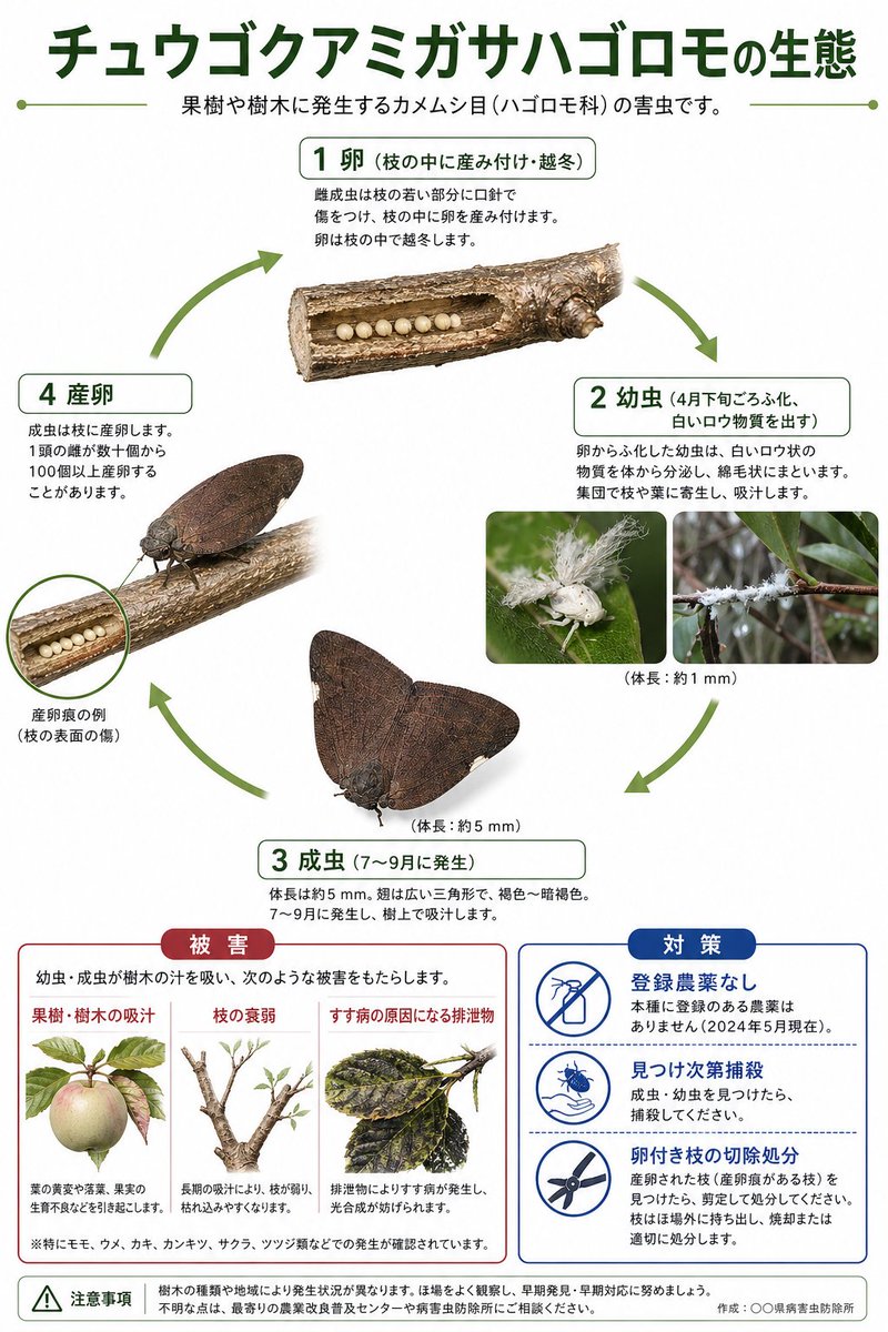产品视觉 GPT Image 2 提示词：Japanese Pest Lifecycle Infographic