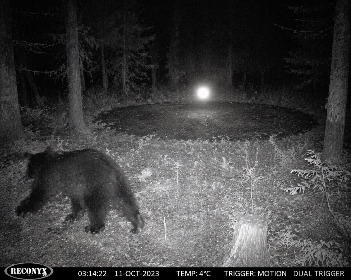 产品视觉 GPT Image 2 提示词：Paranormal Trail Camera Encounter