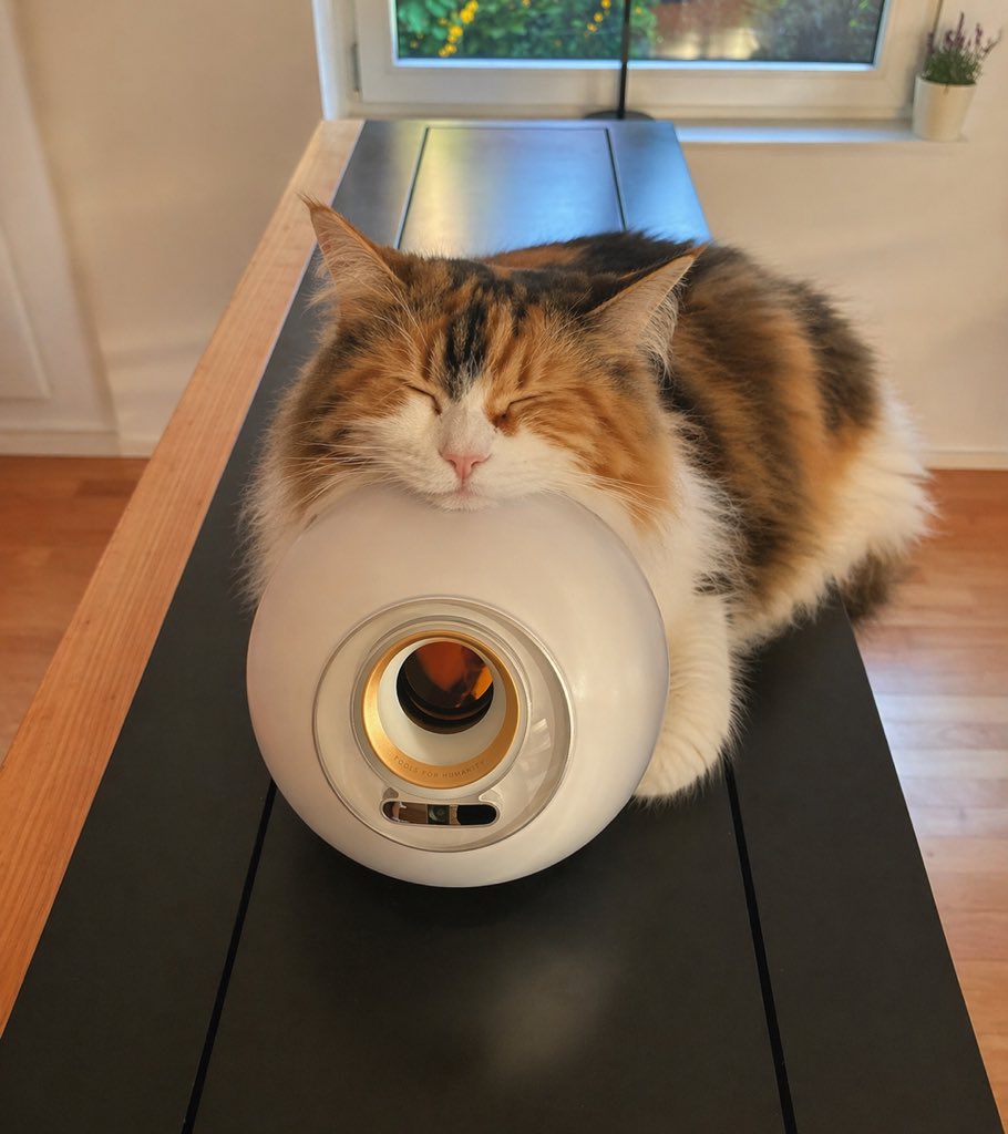 界面稿 GPT Image 2 提示词：Sleeping Calico on White Appliance