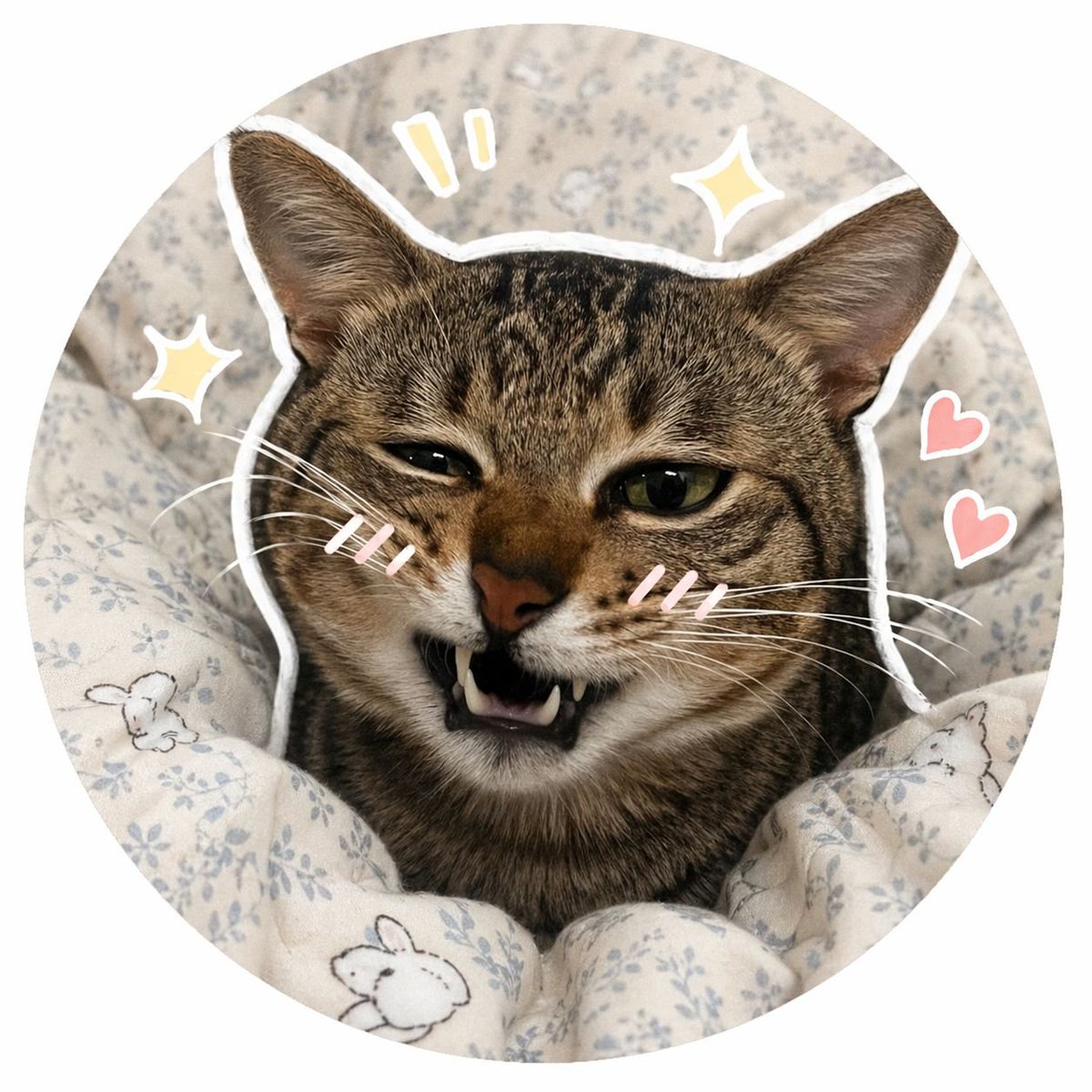 界面稿 GPT Image 2 提示词：Social Media Pet Avatar Creator